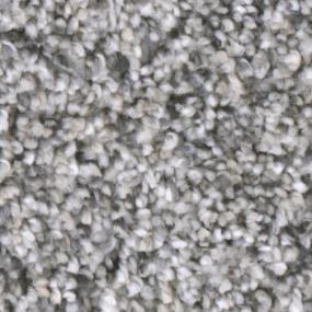 Textured Saxony Tycoon Gray Carpet