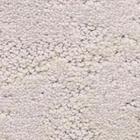 Pattern Plaster Beige/Tan Carpet