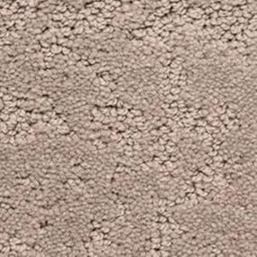 Pattern Weathered  Carpet