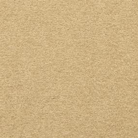 Casual Texture Remnant Beige/Tan Carpet