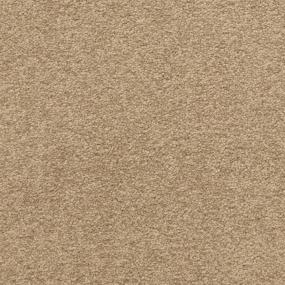 Casual Texture Ruins Beige/Tan Carpet