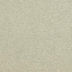 Casual Texture Iconic Beige/Tan Carpet