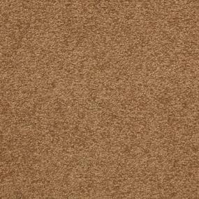 Casual Texture Auger Brown Carpet