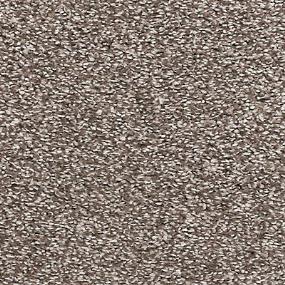 Textured Saxony Bliss Beige/Tan Carpet