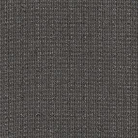 Loop Convenient Gray Carpet