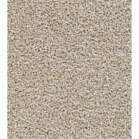 Textured Saxony Potential Beige/Tan Carpet
