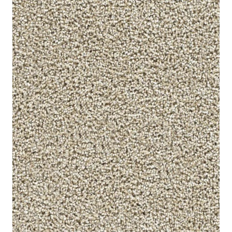 Textured Saxony Potential Beige/Tan Carpet