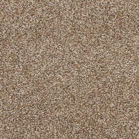Texture Carnation Brown Carpet
