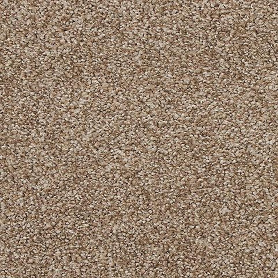 Texture Carnation Brown Carpet