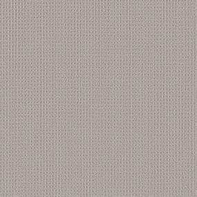 Loop Brocade Gray Carpet