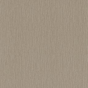 Pattern Fall Aspen Beige/Tan Carpet