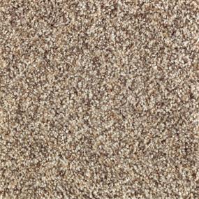 Textured Saxony Porch Swing Beige/Tan Carpet