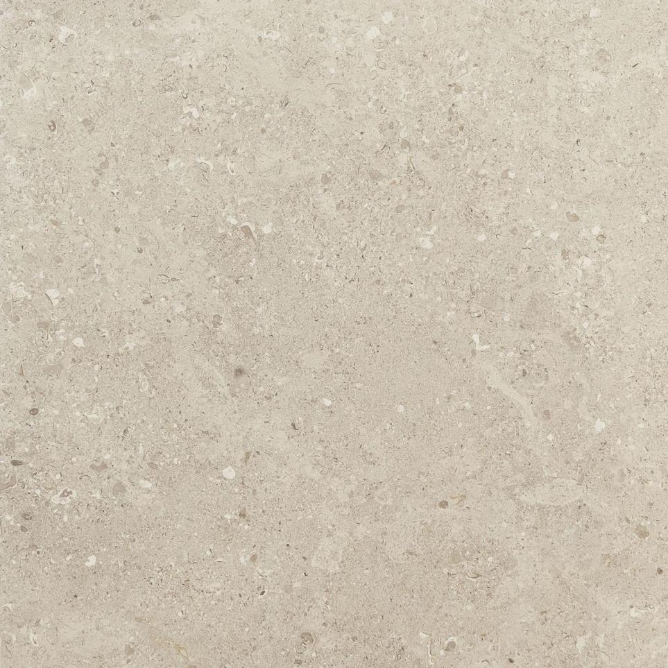 Tile Notable Beige Matte Beige/Tan Tile