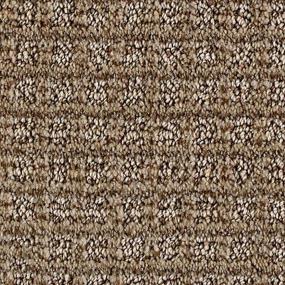 Pattern Sandcastle Beige/Tan Carpet