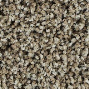 Textured Saxony Maple Sugar Brown Carpet