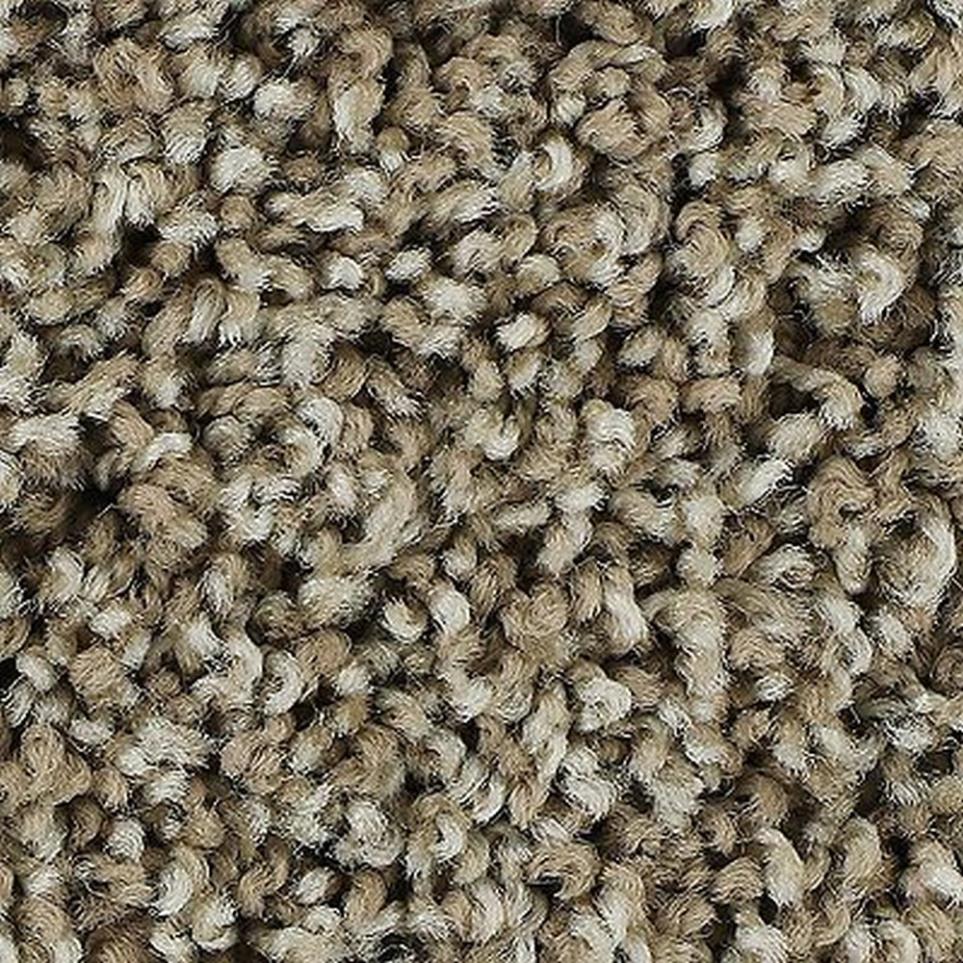 Textured Saxony Maple Sugar Brown Carpet