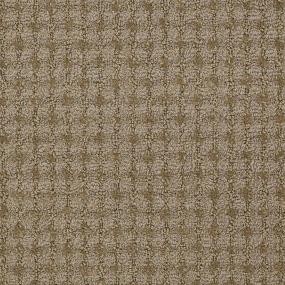 Texture Stand Brown Carpet