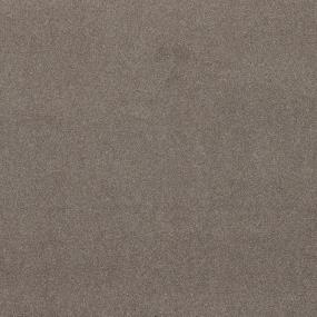 Textured Saxony Rich Earth Beige/Tan Carpet