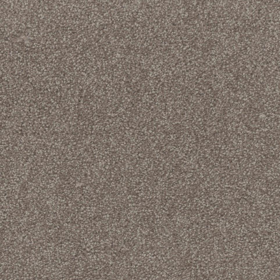 Textured Saxony Rich Earth Beige/Tan Carpet