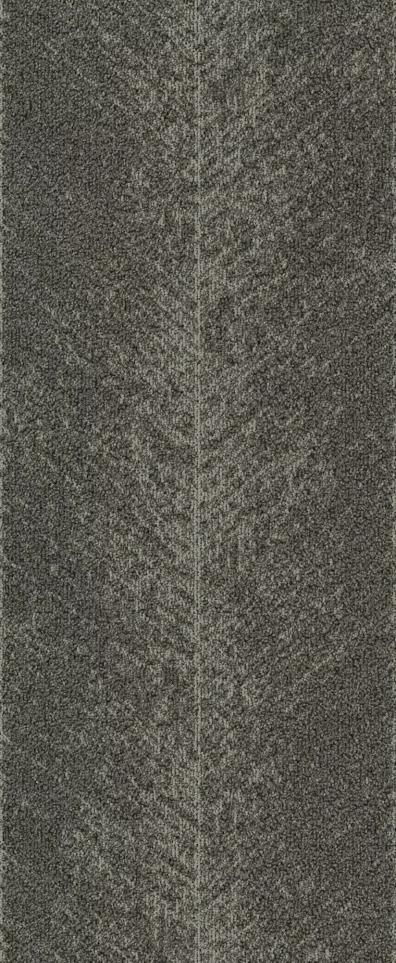 Pattern Expedition Gray Carpet