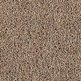 Textured Saxony Enigma Beige/Tan Carpet