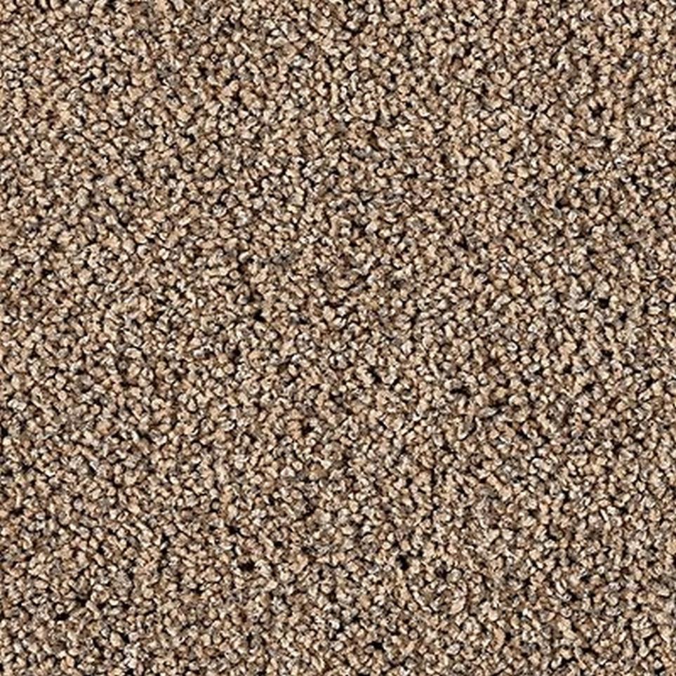Textured Saxony Enigma Beige/Tan Carpet