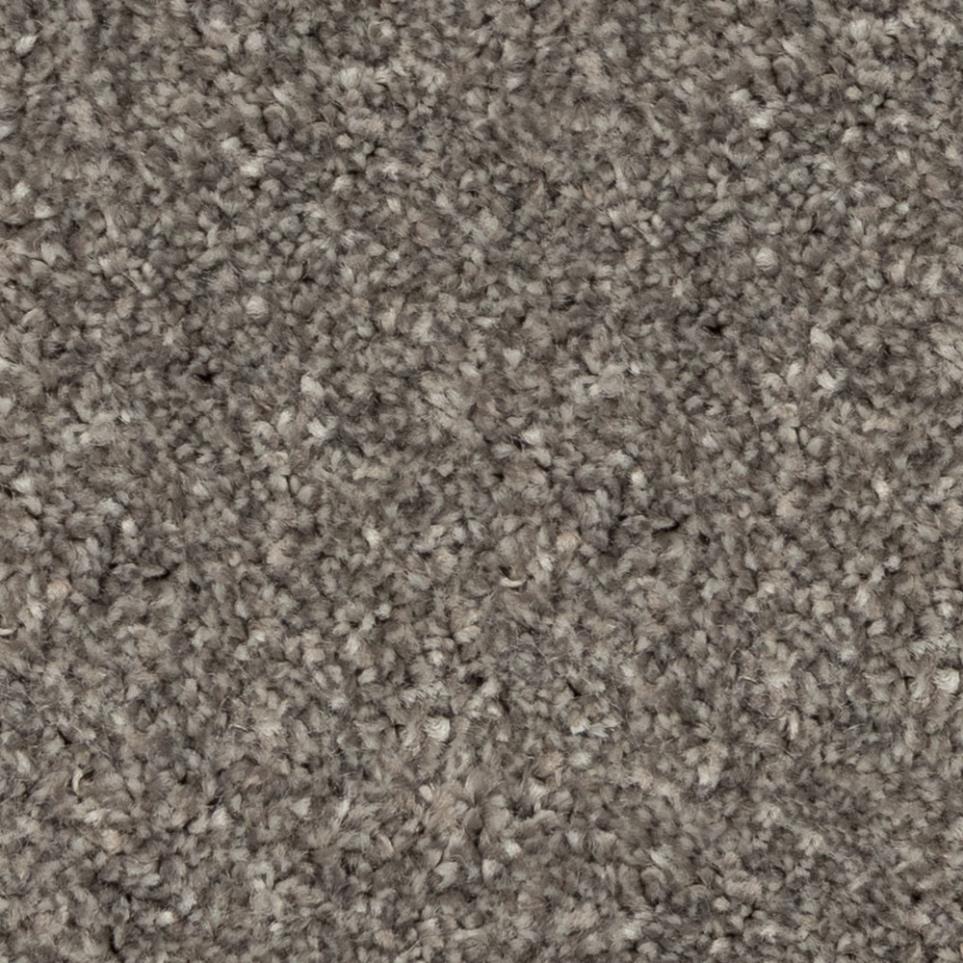 Casual Texture Resting Up Gray Carpet
