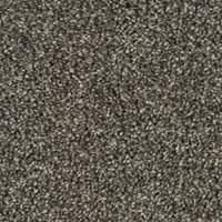 Textured Saxony Brooklyn Bridge Gray Carpet