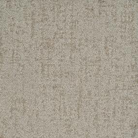 Pattern Actual Brown Carpet