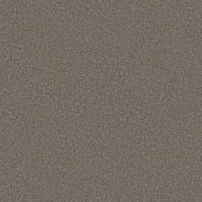 Casual Texture Creek Bend Brown Carpet