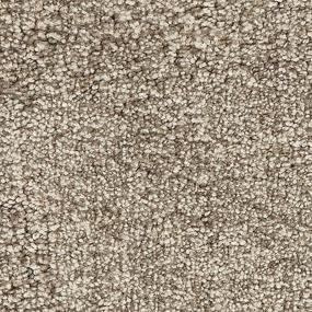Textured Saxony Antique Pearl Beige/Tan Carpet