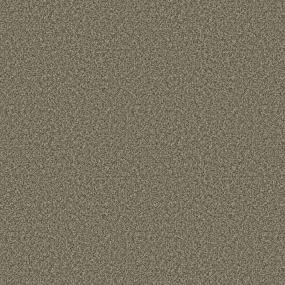 Textured Saxony Intrigue Beige/Tan Carpet