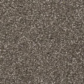 Textured Saxony Expedition Gray Carpet