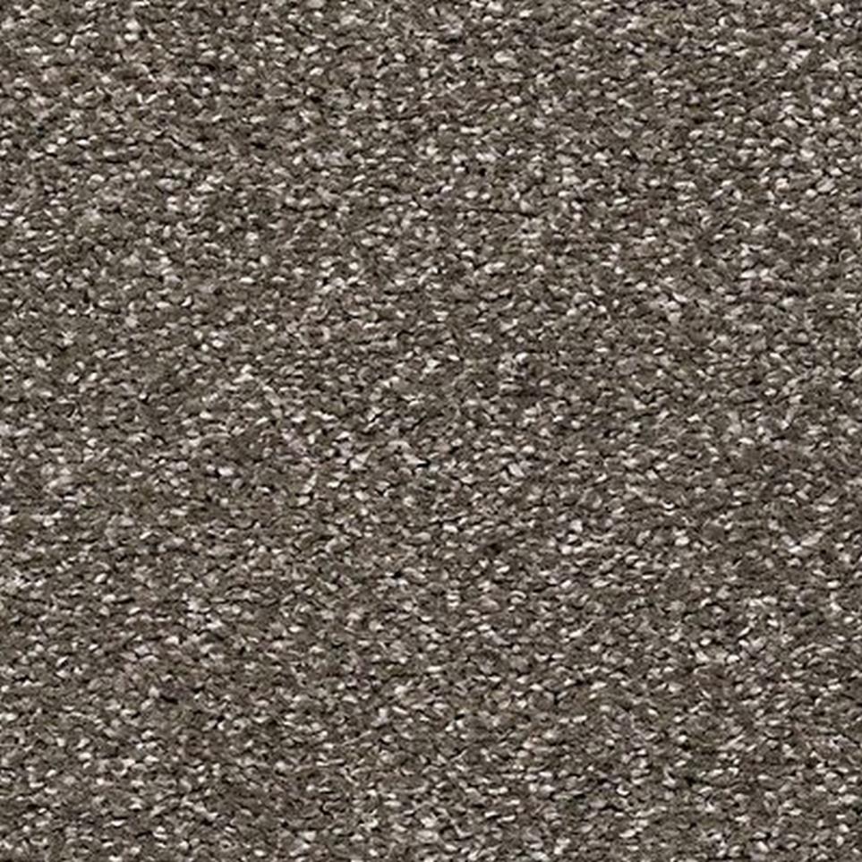 Textured Saxony Expedition Gray Carpet