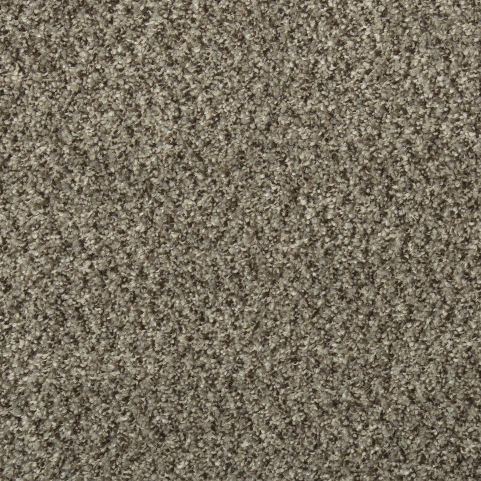 Texture Wild Cattail Beige/Tan Carpet