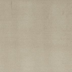 Pattern Fad Beige/Tan Carpet