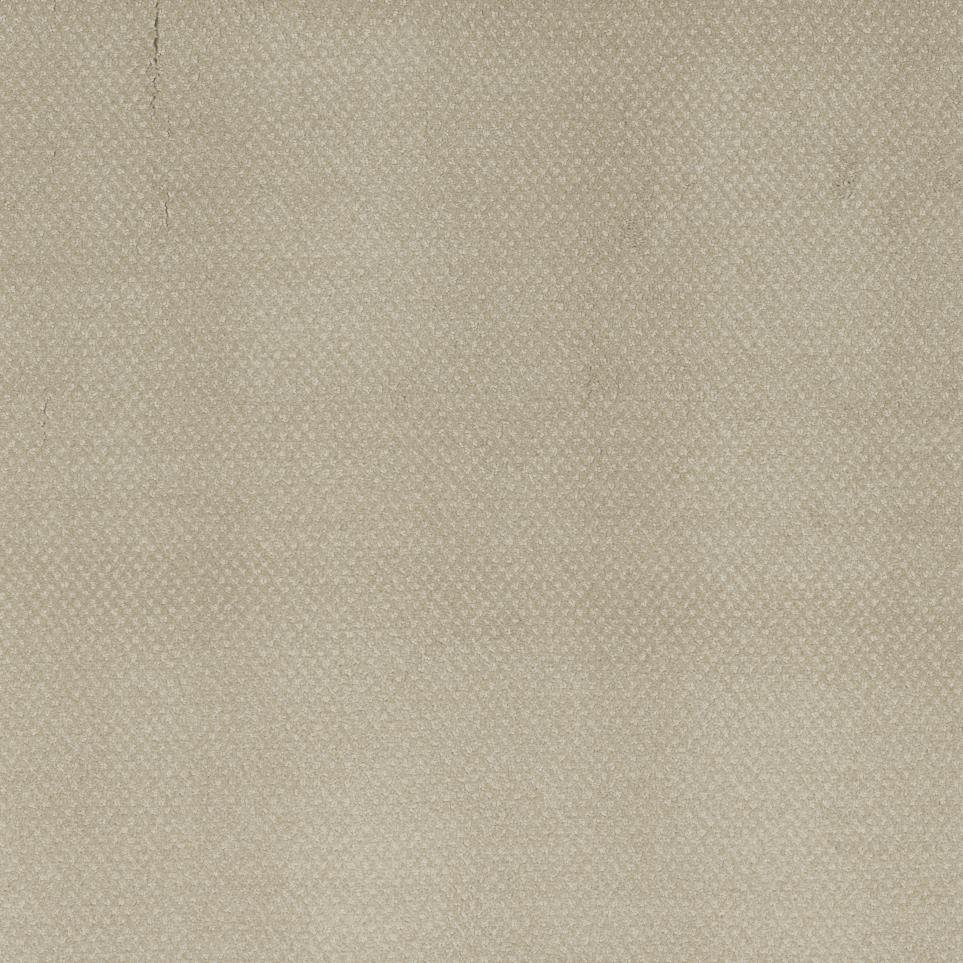 Pattern Fad Beige/Tan Carpet