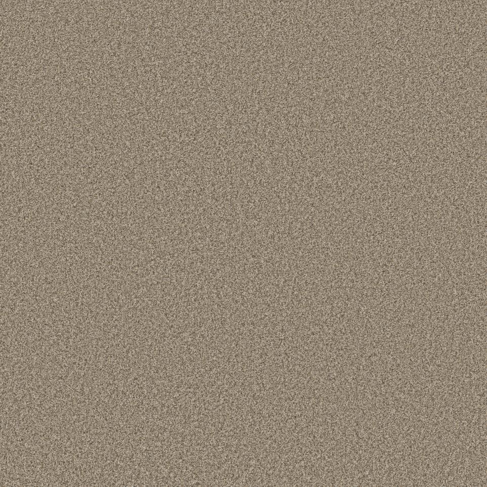 Texture Caramel Beige/Tan Carpet
