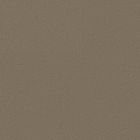 Texture Camelback Brown Carpet