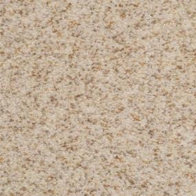 Casual Texture Smokey Topaz Beige/Tan Carpet