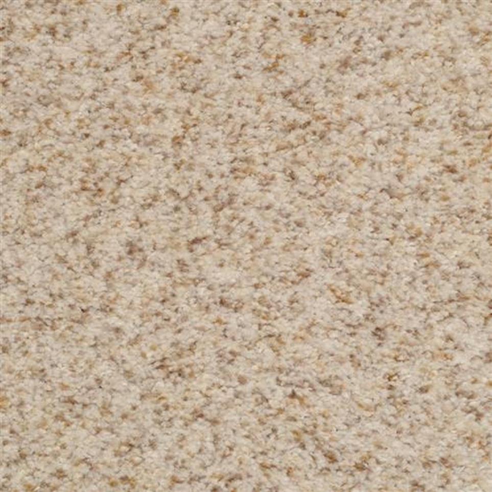 Casual Texture Smokey Topaz Beige/Tan Carpet