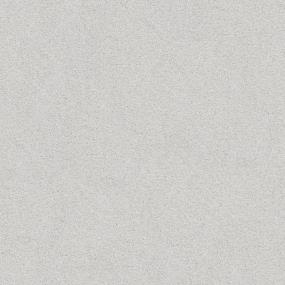 Textured Saxony Held Over Beige/Tan Carpet