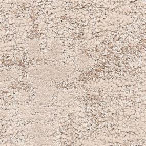 Pattern Mussel Shoals Beige/Tan Carpet