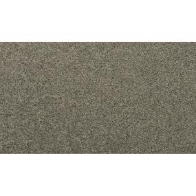 Textured Saxony Dove Gray Gray Carpet