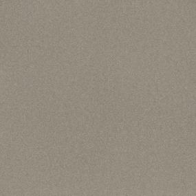 Textured Saxony Homeward Gray Carpet
