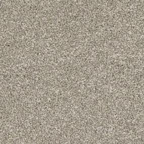 Texture Homeward Gray Carpet