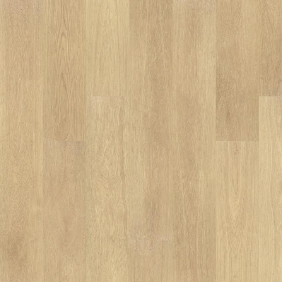 Plank Radical Light Finish Vinyl