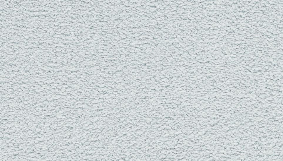 Textured Saxony Fog Gray Carpet