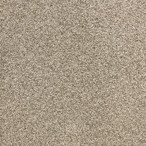 Textured Saxony Stonehenge Beige/Tan Carpet