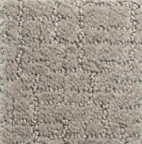 Pattern Armour Beige/Tan Carpet